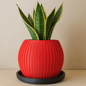 Macetero Decorativo - Para Interior