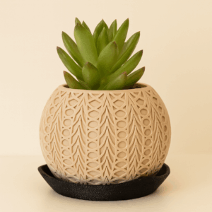 Macetero de Interior diseño “Patrón Tallado”